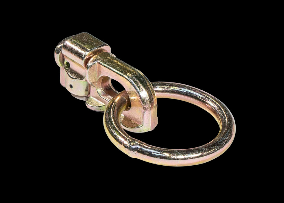 Chandler ADAPT L-Track D-Ring W/ Eyelet - image 1