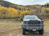 Bodyguard Freedom Extreme Front Bumpers - image 14